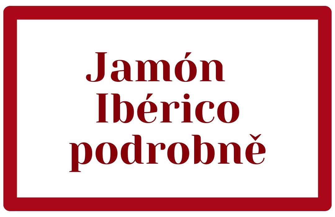 Jamón Ibérico podrobně